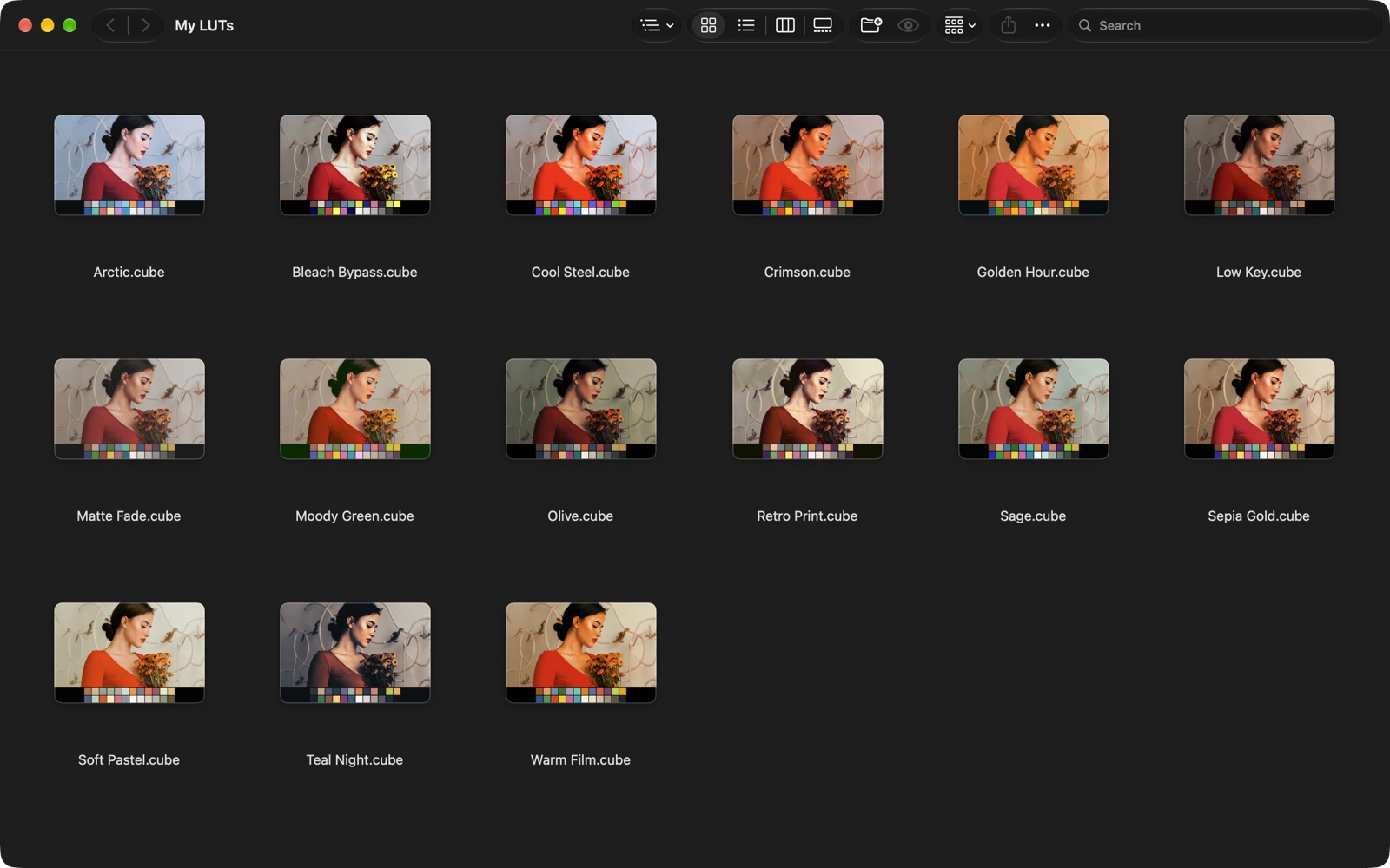 A Finder window with a folder of .cube LUT files, each shown as a thumbnail of the preview photo with that LUT applied