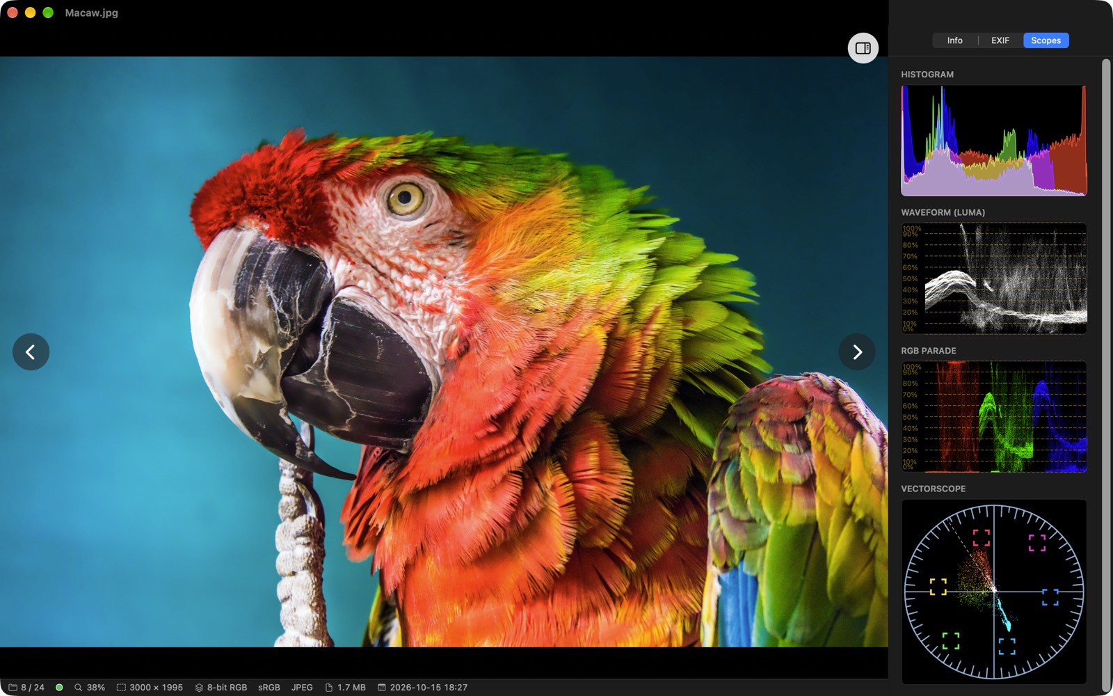 XCViewer Scopes panel beside a photo of a macaw, with the histogram, luma waveform, RGB parade and vectorscope